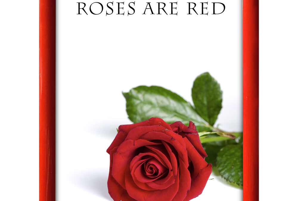 A1 Bilderrahmen Wechselrahmen – So wechselst du Poster einfach und stilvoll