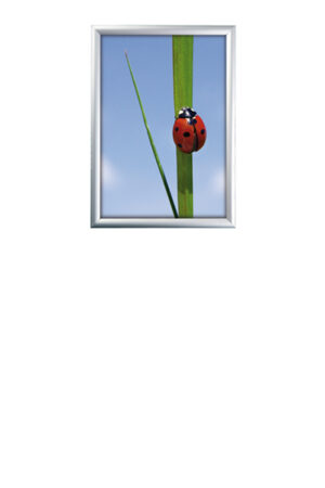 4752r-snapfr-rondo-25-a5