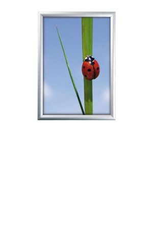 4770r-snapfr-rondo-25-a4