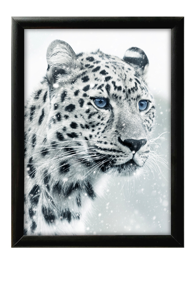 Din A1 Klapprahmen: Flexibel, Stabil & Einfach zu Nutzen