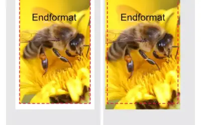 Beschnittzugabe richtig anlegen. So vermeidest du weiße Ränder im Druck