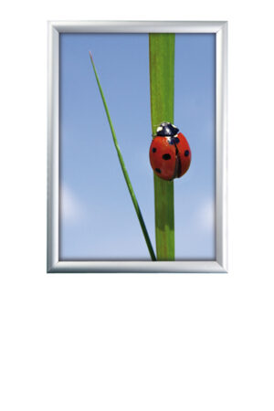 Klapprahmen A2 Silber - 25 mm Profil für Aushänge und Werbung