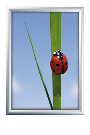 Klapprahmen A1 Silber - 25 mm Profil für Innenbereiche und Infoschilder