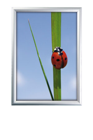 Klapprahmen 50x70 Silber - 25 mm Profil für Werbeflächen