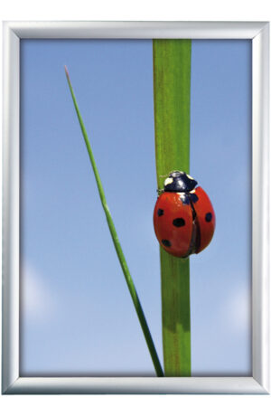 Klapprahmen 70x100 Silber - 25 mm Profil für großflächige Werbung